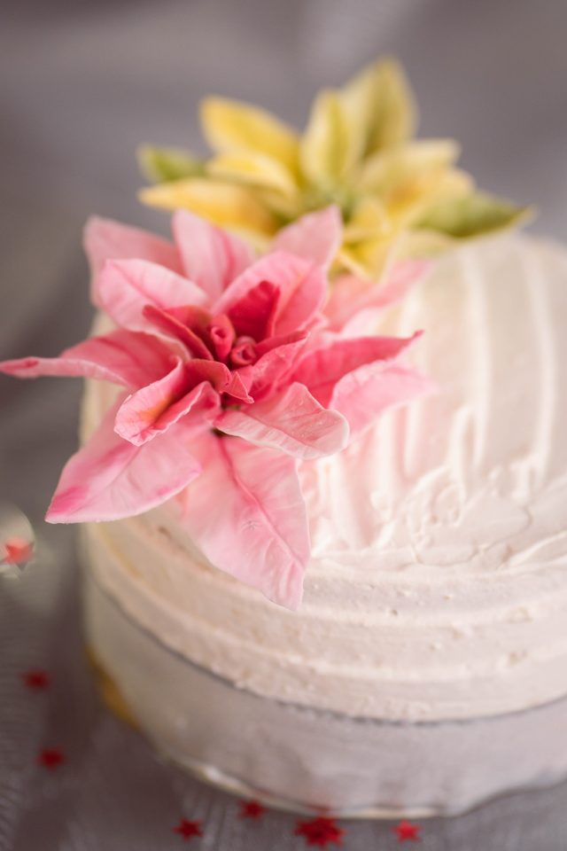 Sós karamell torta